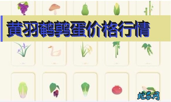 2020年8月4日黄羽鹌鹑蛋价格行情、今日黄羽鹌鹑蛋多少钱一斤?
