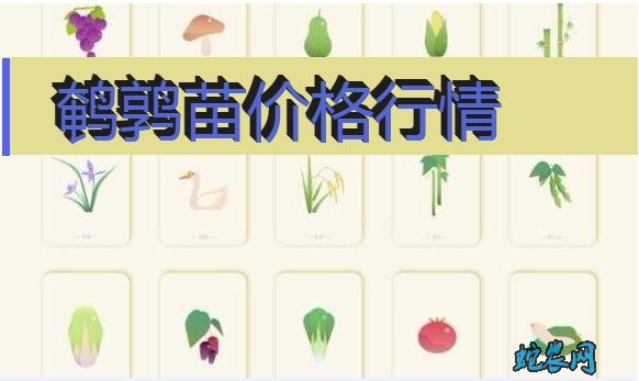 2020年8月4日鹌鹑苗价格行情、今日鹌鹑苗多少钱一只？