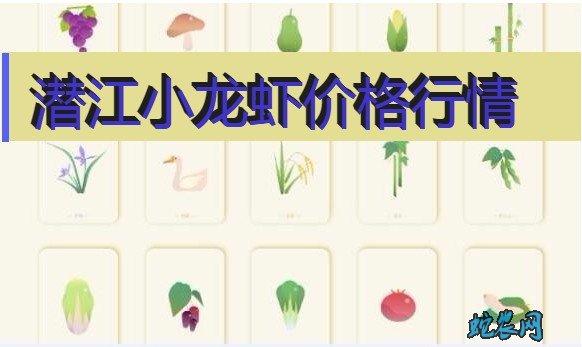 2020年8月4日潜江小龙虾价格行情、今日潜江小龙虾多少钱一斤？
