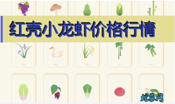 2020年8月4日红壳小龙虾价格行情、今日红壳小龙虾多少钱一斤?