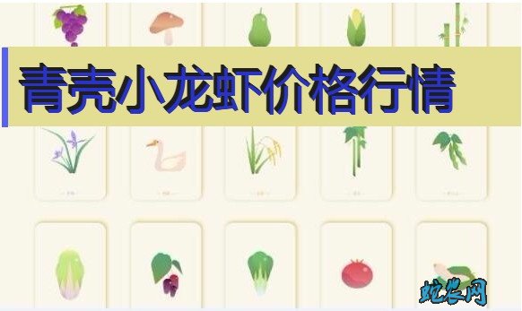 2020年8月4日青壳小龙虾价格行情、今日青壳小龙虾多少钱一斤?