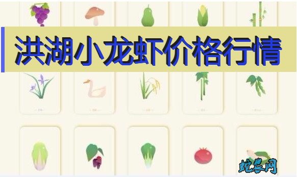 2020年8月4日洪湖小龙虾价格行情、今日洪湖小龙虾多少钱一斤?