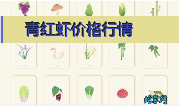 2020年8月4日青红虾价格行情、今日青红小龙虾多少钱一斤?