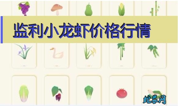 2020年8月4日监利小龙虾价格行情、今日监利小龙虾多少钱一斤?