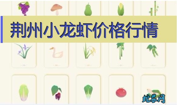 2020年8月4日荆州小龙虾价格行情、今日荆州小龙虾多少钱一斤?