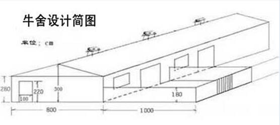 养牛厂图片