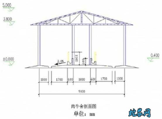 养牛厂图片