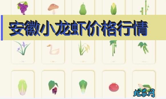 2020年8月6日安徽小龙虾价格行情、今日安徽小龙虾多少钱一斤?