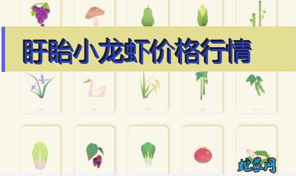 2020年8月6日盱眙小龙虾价格行情、今日盱眙小龙虾多少钱一斤?