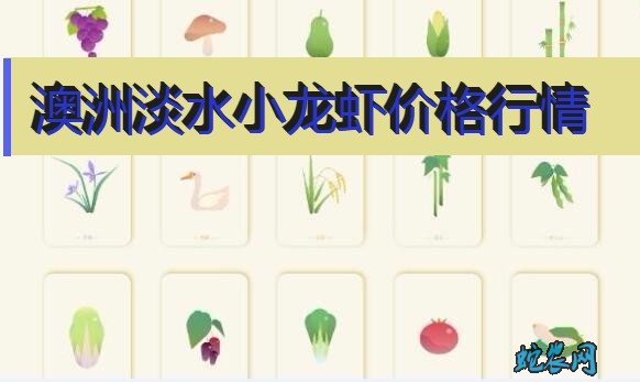 2020年8月6日澳洲淡水小龙虾价格行情、今日澳洲淡水小龙虾多少钱一斤?