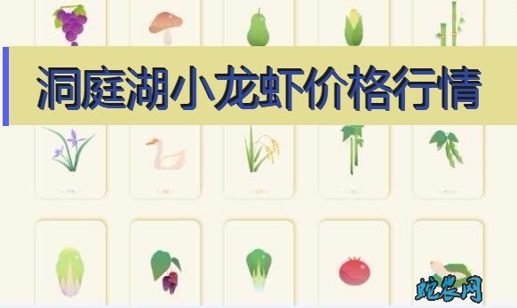 2020年8月6日洞庭湖小龙虾价格行情、今日洞庭湖小龙虾多少钱一斤?