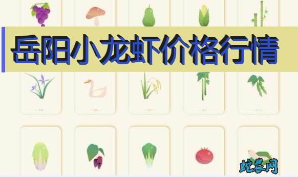 2020年8月6日岳阳小龙虾价格行情、今日岳阳小龙虾多少钱一斤？