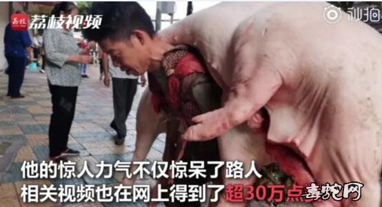 世界上最能背的人!45岁体重110斤背480斤猪肉!