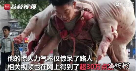 世界上最能背的人!45岁体重110斤背480斤猪肉!