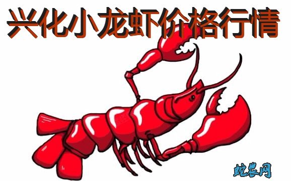 2020年8月7日兴化小龙虾价格行情、今日兴化小龙虾多少钱一斤？