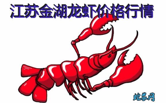 2020年8月7日江苏金湖龙虾价格行情、今日江苏金湖龙虾多少钱一斤？