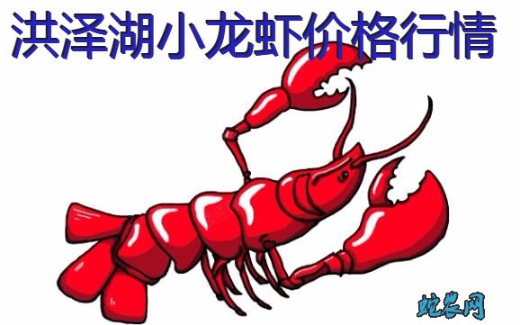 2020年8月7日洪泽湖小龙虾价格行情、今日洪泽湖小龙虾多少钱一斤?