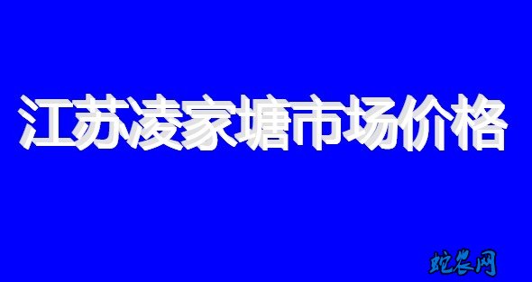 江苏凌家塘市场：大白菜价格大幅，1.4一斤跌倒1.4一公斤！