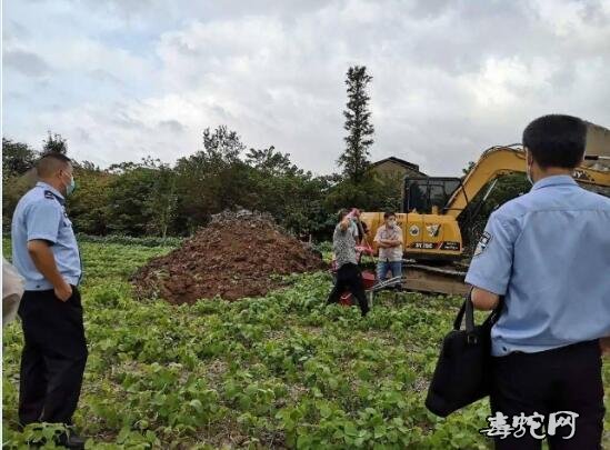 启东吕四有毒蛇出没！查封一个766条的养蛇场！