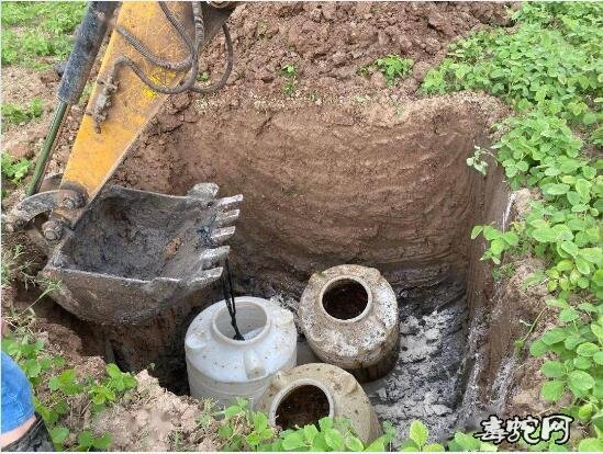 启东吕四有毒蛇出没!查封一个766条的养蛇场!