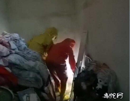 张家口毒蛇误闯农户家中!消防队员来解围!