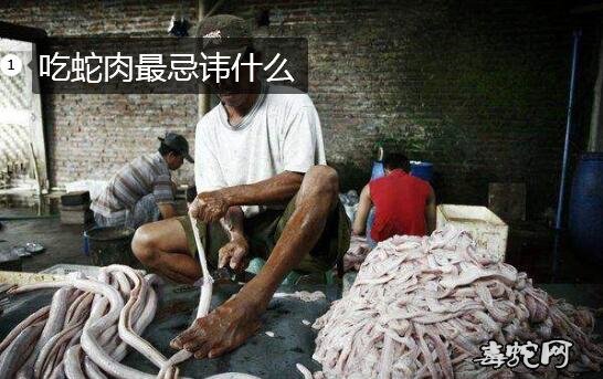 吃蛇肉最忌讳什么图片