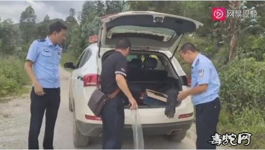 普者黑湿地公园银环蛇出没吓坏游客!森林公安立刻出动!