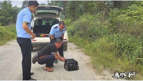 普者黑湿地公园银环蛇出没吓坏游客!森林公安立刻出动!