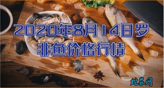 2020年8月14日罗非鱼价格行情、今日罗非鱼多少钱一斤?