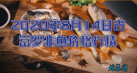 2020年8月14日吉富罗非鱼价格行情、今日吉富罗非鱼多少钱一斤？