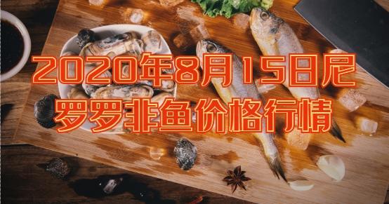 2020年8月15日尼罗罗非鱼价格行情、今日尼罗罗非鱼多少钱一斤?