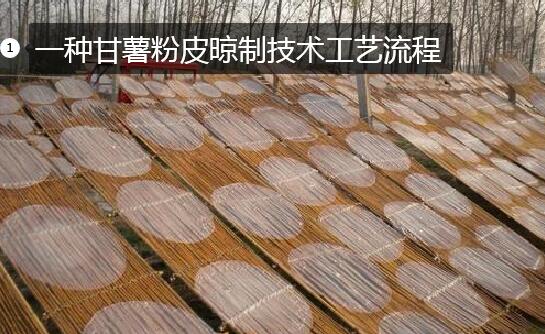 一种甘薯粉皮晾制技术工艺流程