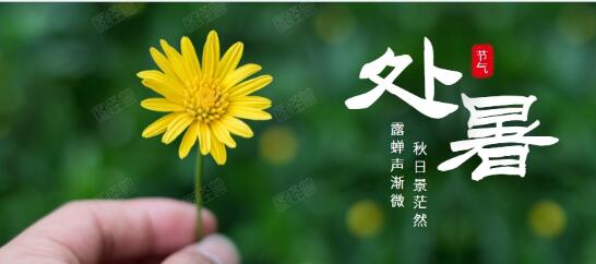处暑节气的特点？处暑后面的节气是什么？
