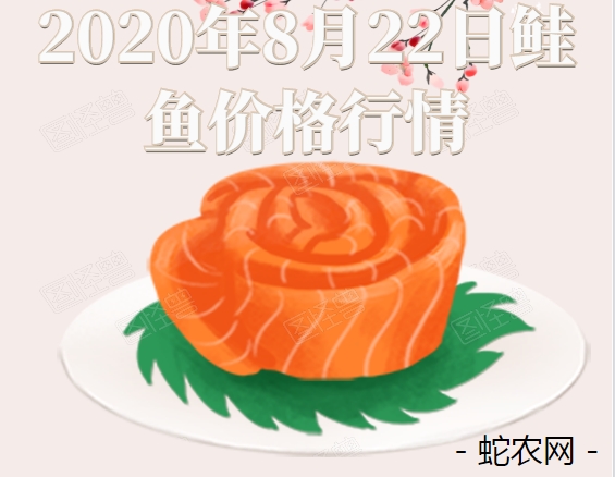 2020年8月22日鲑鱼价格行情、今日三文鱼多少钱一斤?