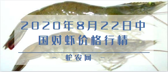 2020年8月22日中国对虾价格行情、今日中国对虾多少钱一斤?
