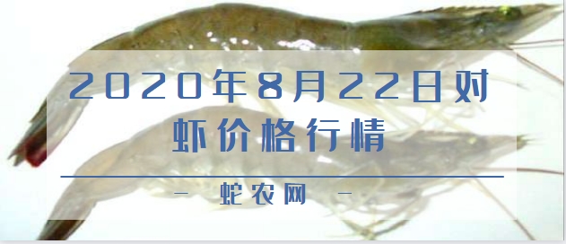 2020年8月22日对虾价格行情、今日对虾多少钱一斤?