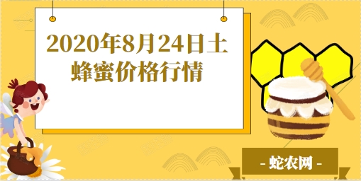 2020年8月24日土蜂蜜价格行情、今日土蜂蜜多少钱一斤?