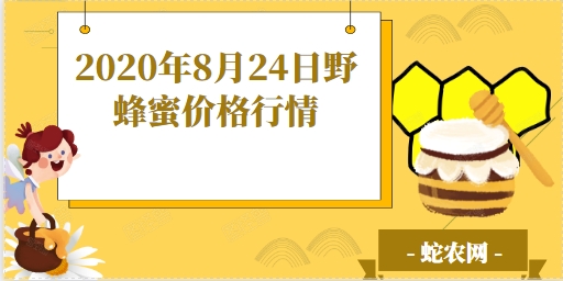 2020年8月24日野蜂蜜价格行情、今日野生蜂蜜多少钱一斤?