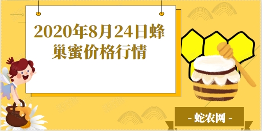 2020年8月24日蜂巢蜜价格行情、今日蜂巢蜜多少钱一斤?