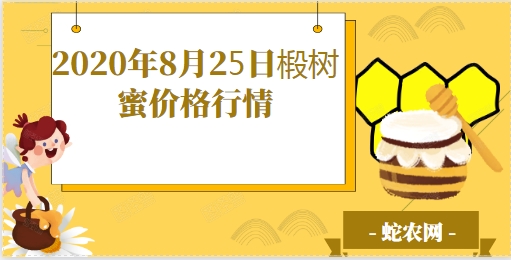 2020年8月25日椴树蜜价格行情、今日椴树蜜多少钱一斤?
