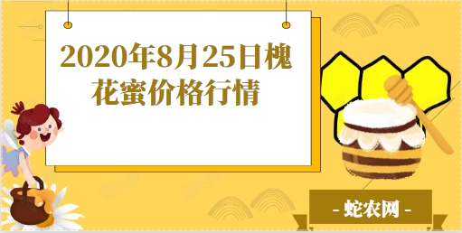 2020年8月25日槐花蜜价格行情、今日槐花蜜多少钱一斤?