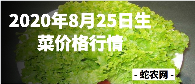 2020年8月25日生菜价格行情、今日各种生菜多少钱一斤?