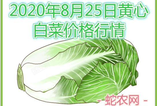 2020年8月25日黄心白菜价格行情、今日黄心白菜多少钱一斤?