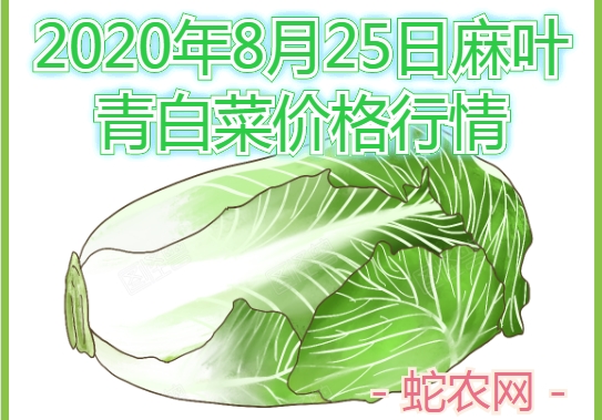 2020年8月25日麻叶青白菜价格行情、今日麻叶青白菜多少钱一斤?