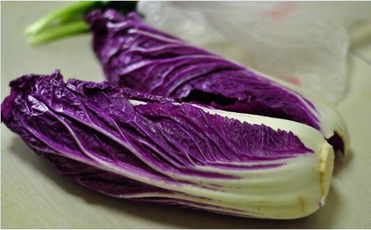 2020年8月25日紫白菜价格行情、今日紫白菜多少钱一斤？
