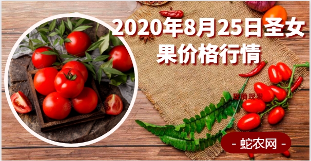 2020年8月25日圣女果价格行情、今日樱桃小番茄多少钱一斤?