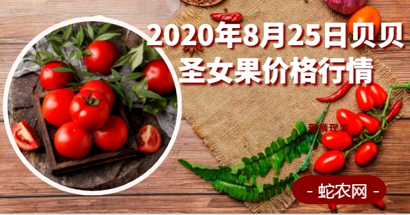 2020年8月25日贝贝圣女果价格行情、今日贝贝圣女果多少钱一斤?