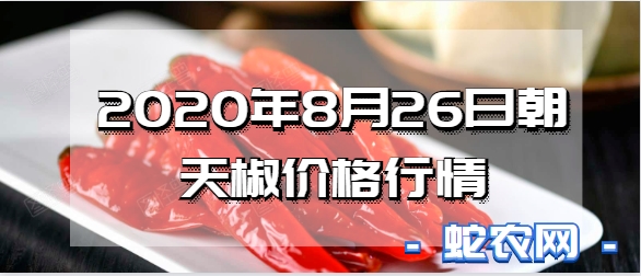 2020年8月26日朝天椒价格行情、今日朝天椒多少钱一斤?