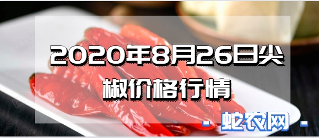 2020年8月26日尖椒价格行情、今日尖椒多少钱一斤?