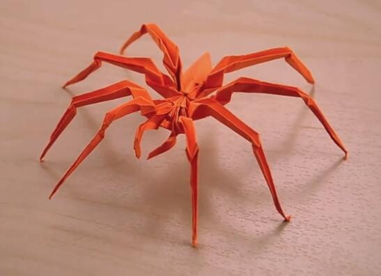 蜘蛛折纸图片